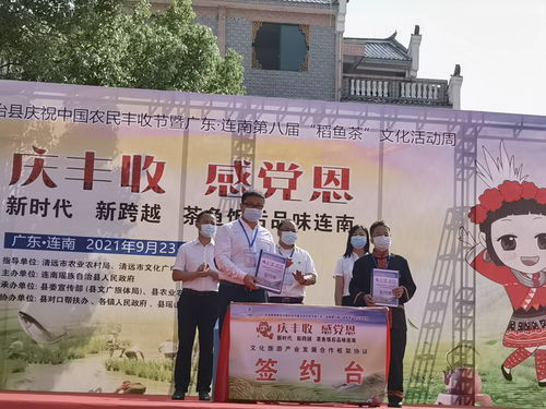 連南第八屆稻魚茶文化活動(dòng)周盛大開幕，推動(dòng)文化藝術(shù)交流新篇章